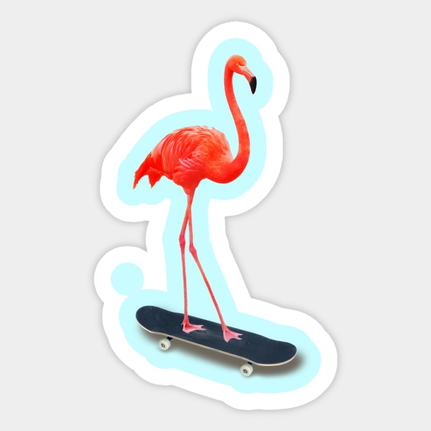 Skateboarding Flamingo Sticker by DavidLoblaw